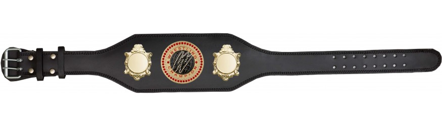 WRESTLING CHAMPIONSHIP BELT-BUD003/G/WRESTGEMG-4 COLOURS